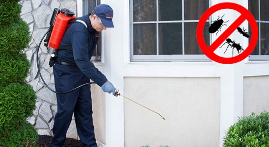 Merkezefendi Hamam Böceği İlaçlama böcek ilaçlama ve haşere kontrolü — ilaclama-tr.com